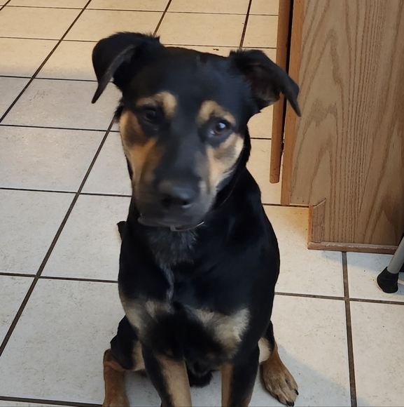 Happiness! - Picture 1 of 1